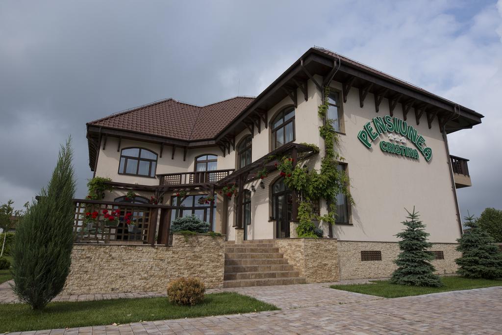 Pensiunea Cristina Malu Mare Buitenkant foto